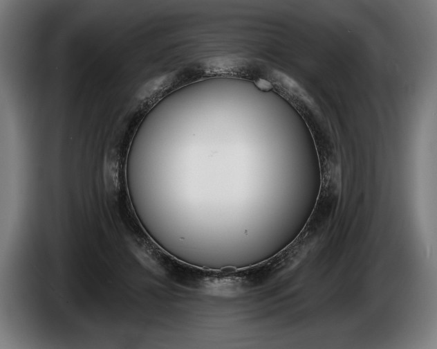 X0000086250452200704191846