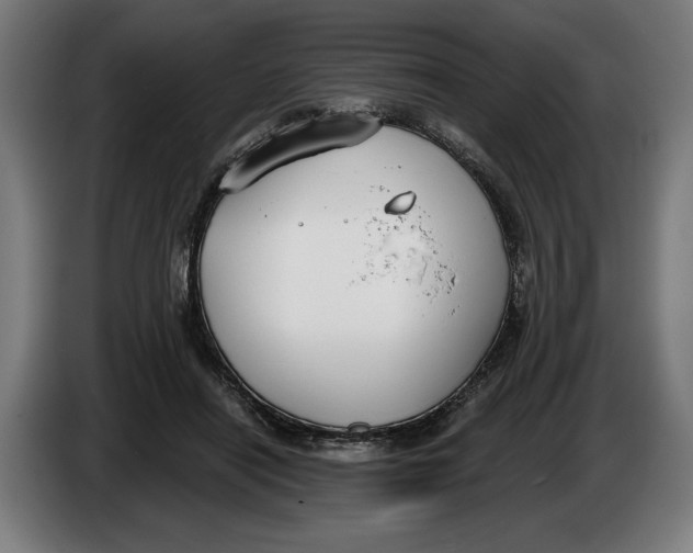 X0000086250454200704191846