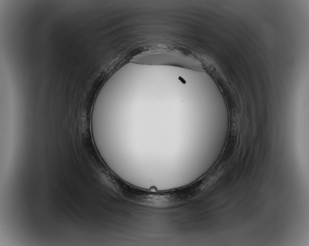 X0000086250457200704191846