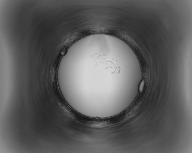 X0000086250458200704191846