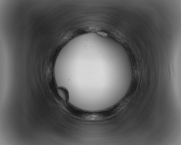 X0000086250460200704191846