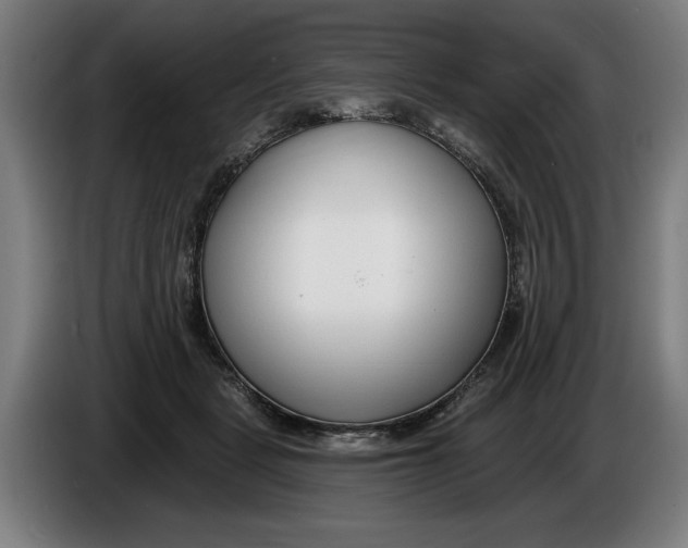 X0000086250461200704191846
