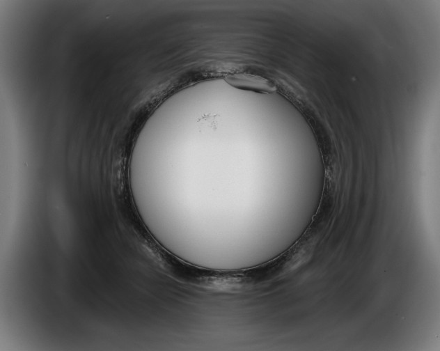 X0000086250462200704191846