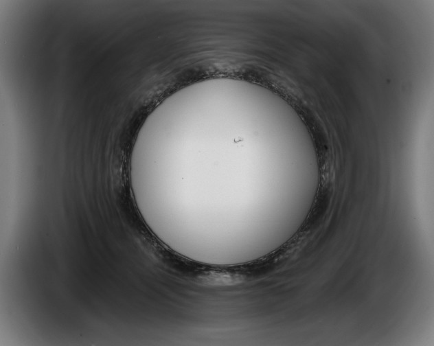 X0000086250464200704191846