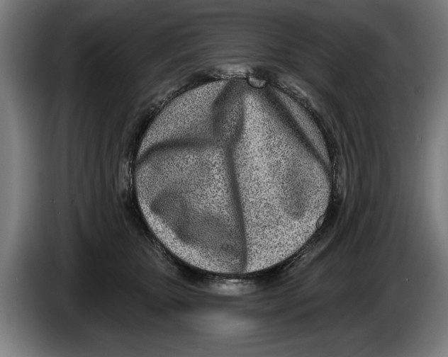 X0000086250467200704191846