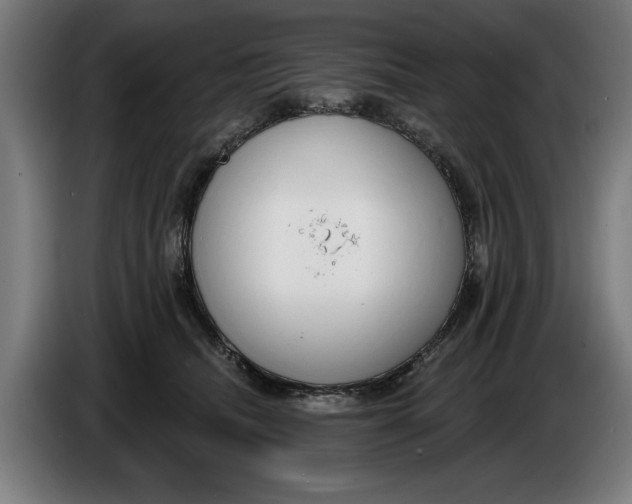 X0000086250468200704191846