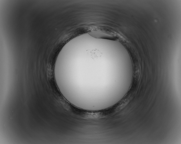 X0000086250469200704191846