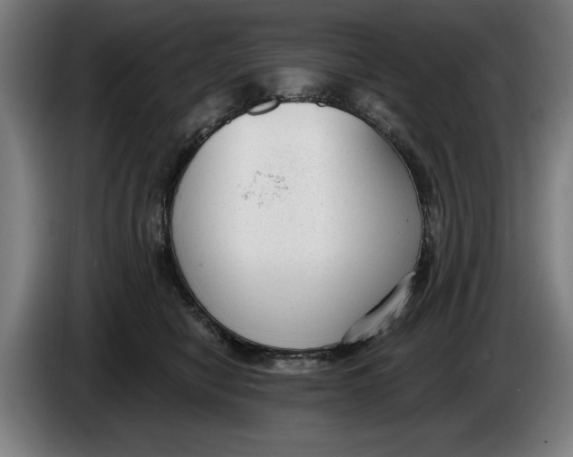 X0000086250470200704191846