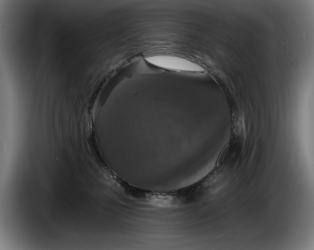 X0000086250471200704191846