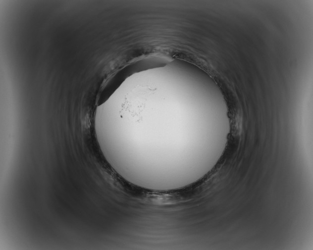 X0000086250472200704191846