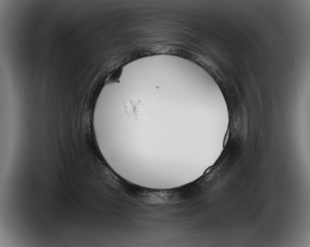 X0000086250473200704191846