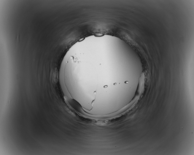 X0000086250474200704191846
