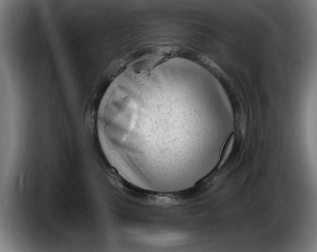 X0000086250475200704191846
