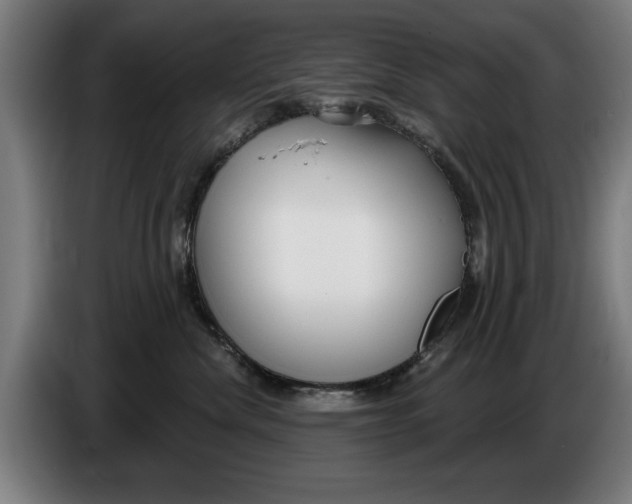 X0000086250476200704191846