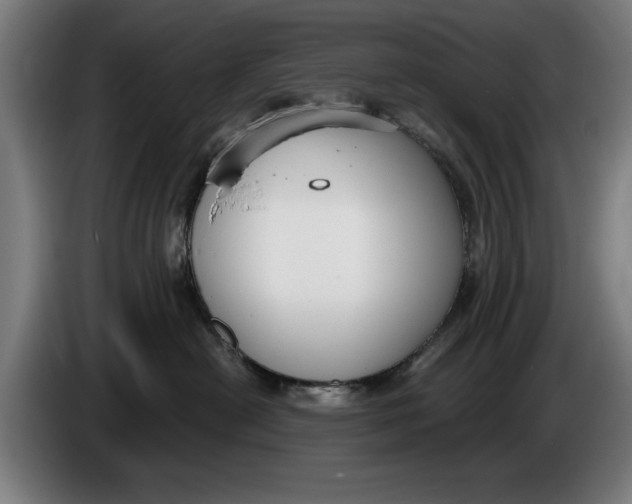 X0000086250478200704191846
