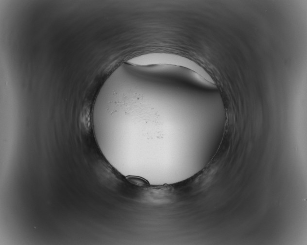 X0000086250479200704191846