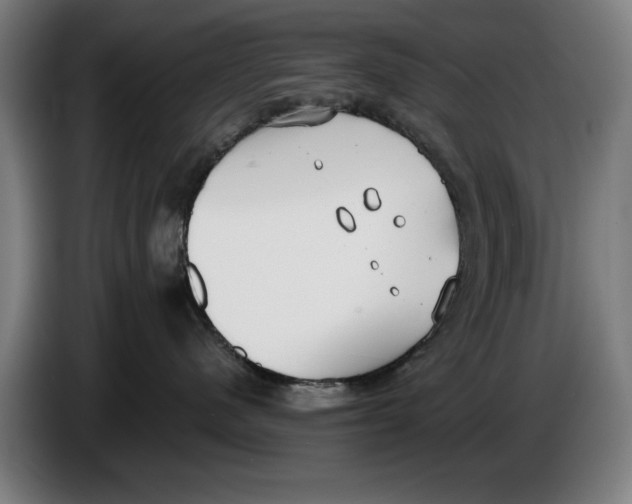 X0000086250480200704191846