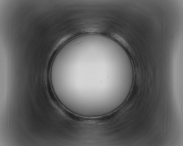 X0000086250482200704191846