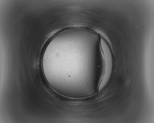 X0000086250483200704191846