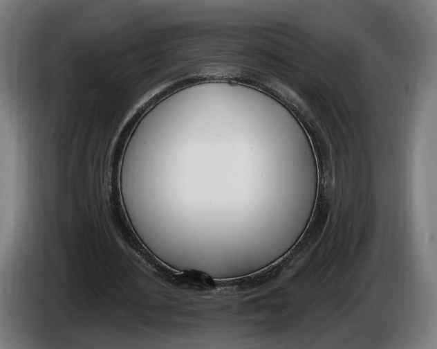 X0000086250484200704191846