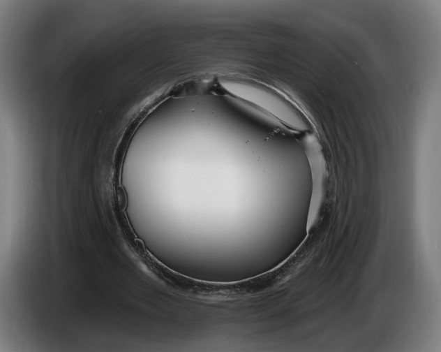 X0000086250485200704191846