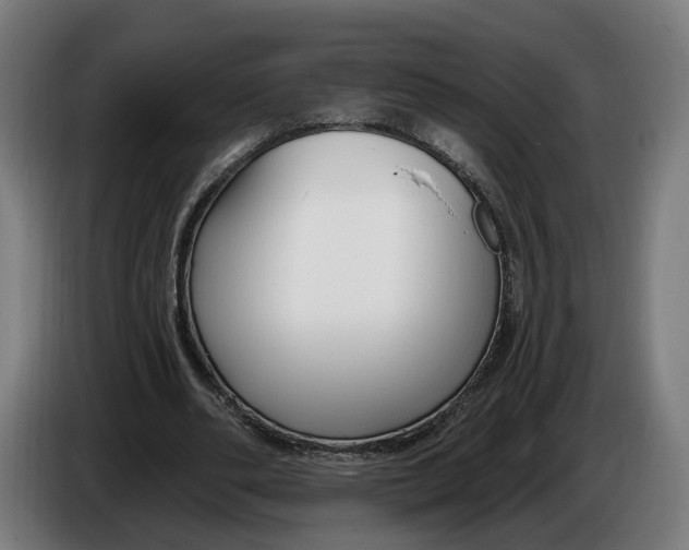 X0000086250486200704191846