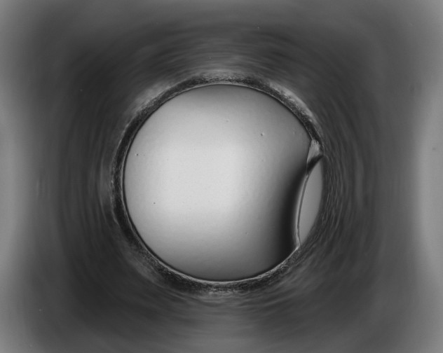X0000086250487200704191846