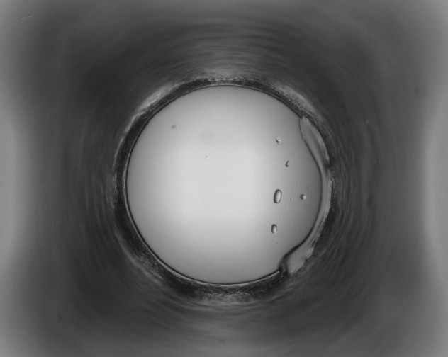 X0000086250488200704191846