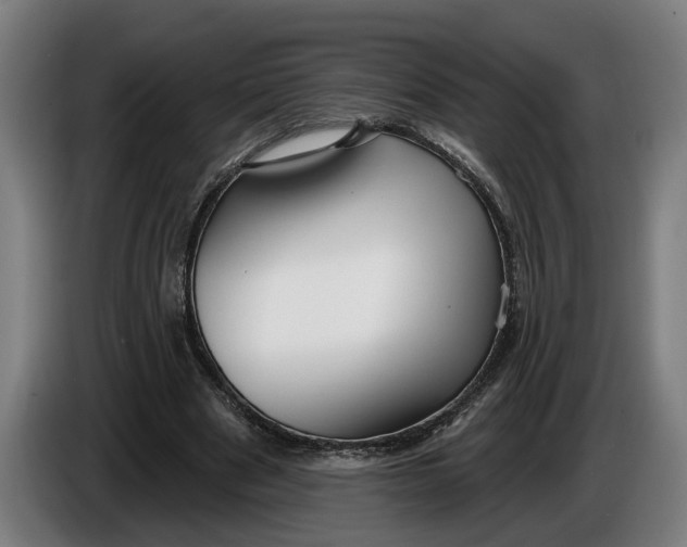 X0000086250489200704191845