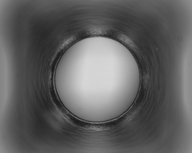 X0000086250490200704191845