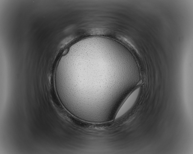 X0000086250491200704191845
