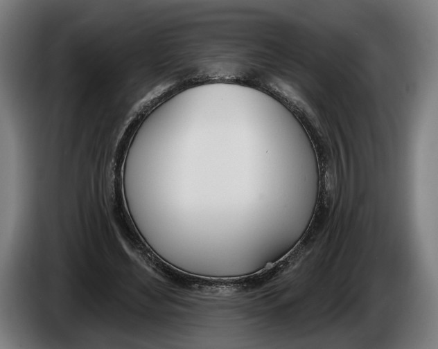 X0000086250492200704191845