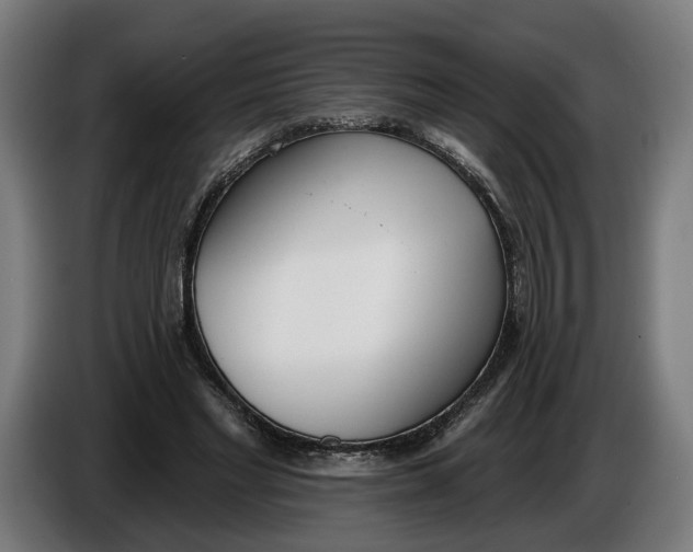 X0000086250493200704191845