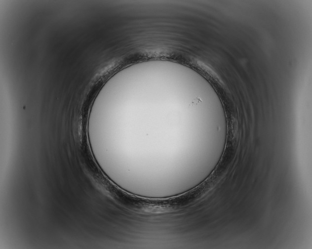 X0000086250494200704191845