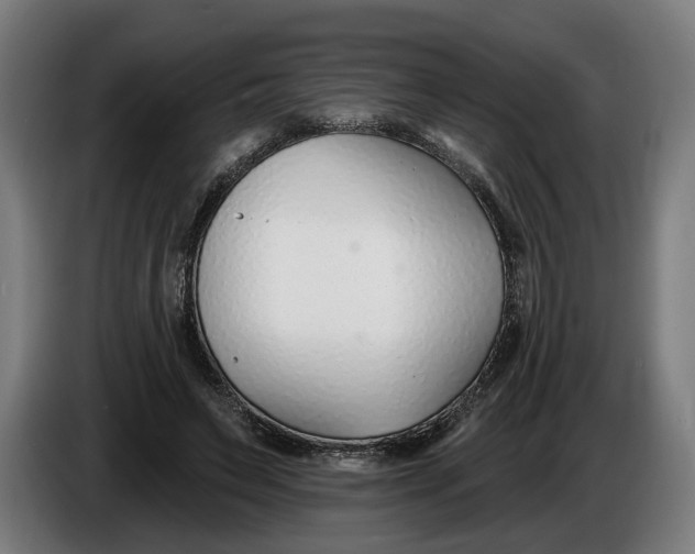 X0000086250495200704191845