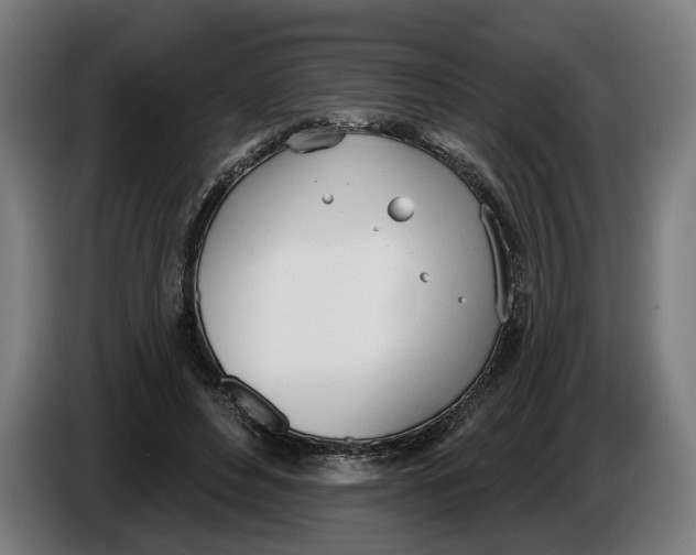 X0000086250496200704191845