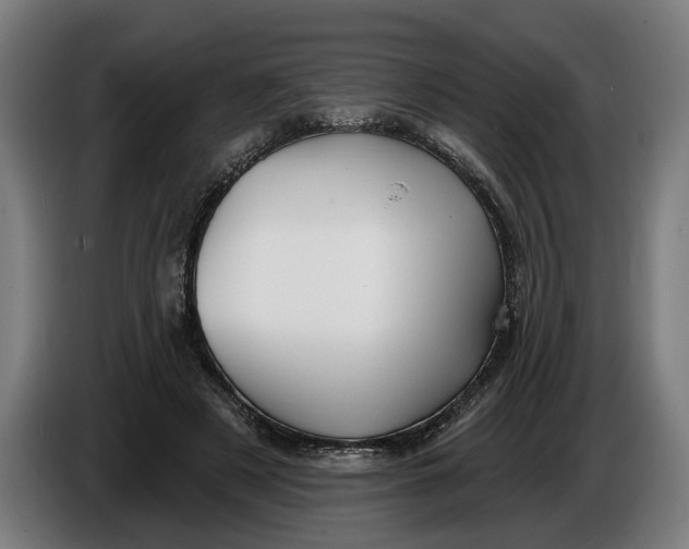 X0000086250497200704191845