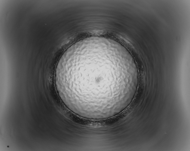 X0000086250499200704191845