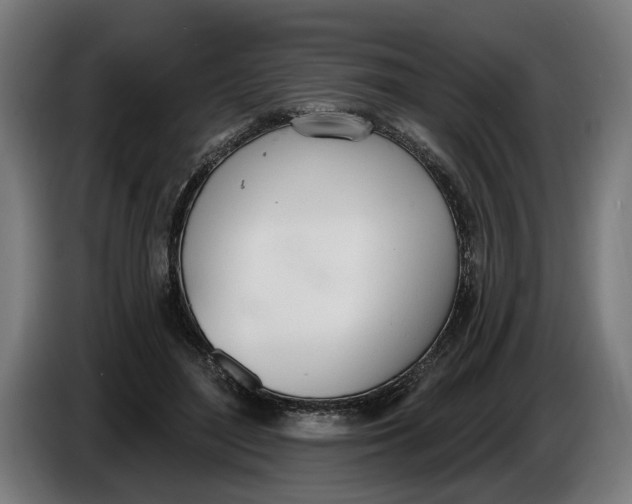 X0000086250500200704191845