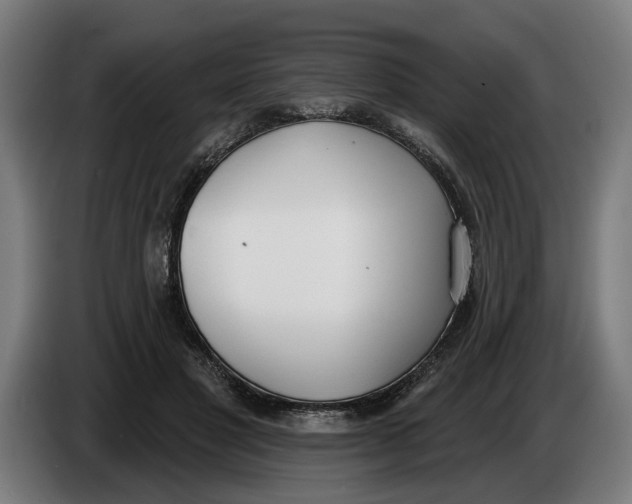X0000086250501200704191845