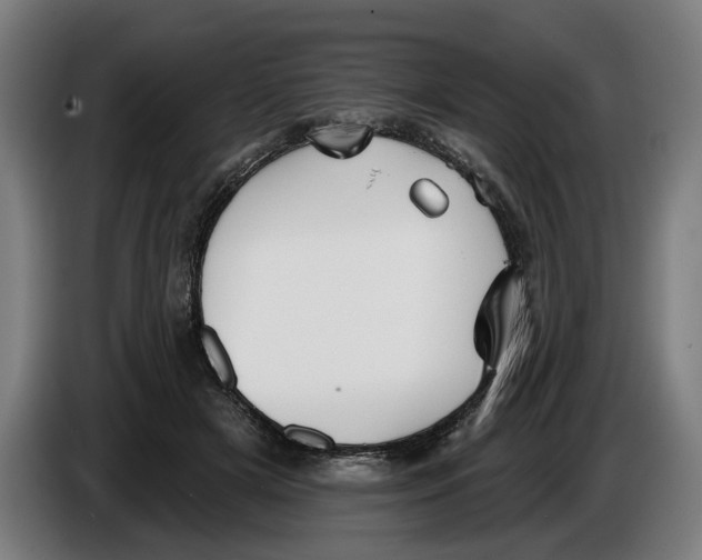 X0000086250505200704191845