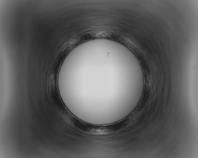 X0000086250506200704191845