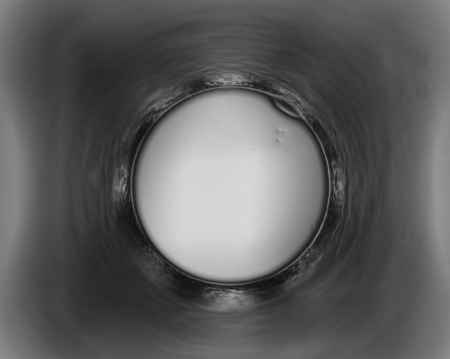 X0000086250507200704191845