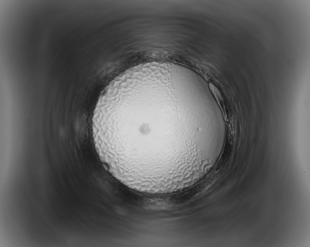 X0000086250511200704191845