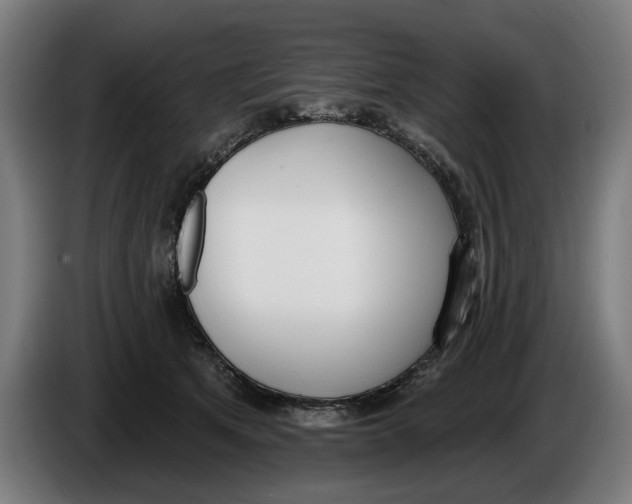 X0000086250513200704191845