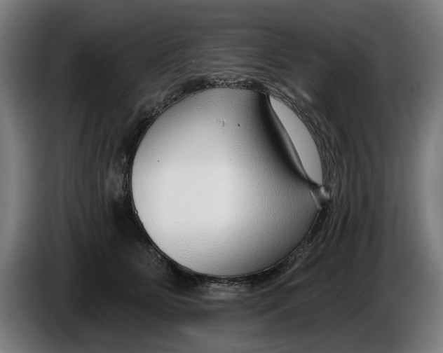 X0000086250515200704191845