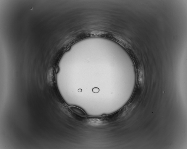 X0000086250519200704191845