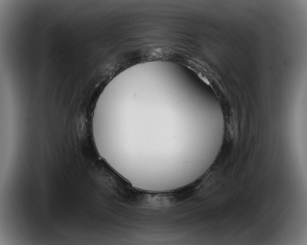 X0000086250520200704191845