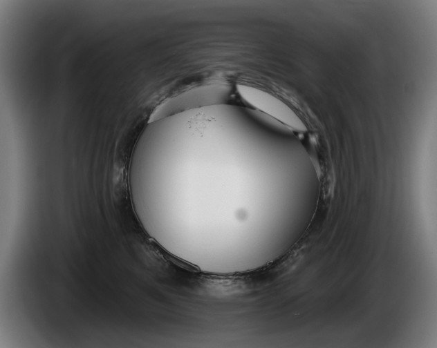 X0000086250521200704191845