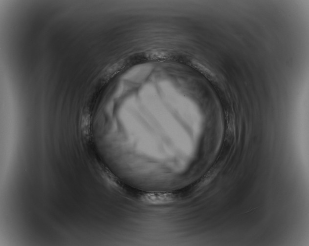 X0000086250526200704191845